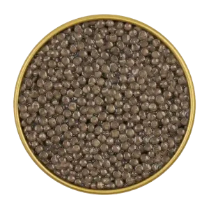 Caviar Beluga - Finest Gourmet Indulgence | LuxeFood.co.uk