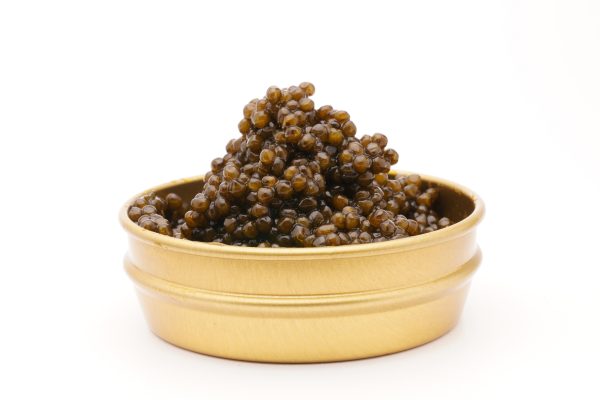 Caviar Beluga
