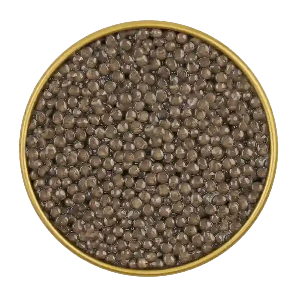 Caviar Beluga - Finest Gourmet Indulgence | LuxeFood.co.uk