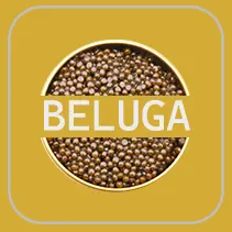 Beluga