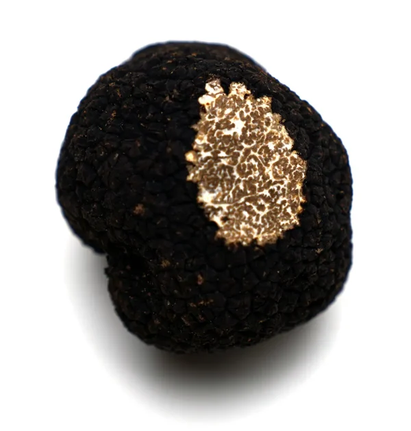 Black Truffle