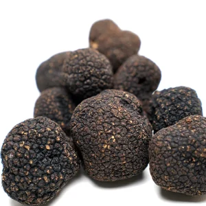 Black Truffle