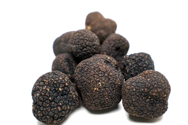 Black Truffle