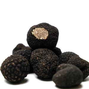 Black Truffle