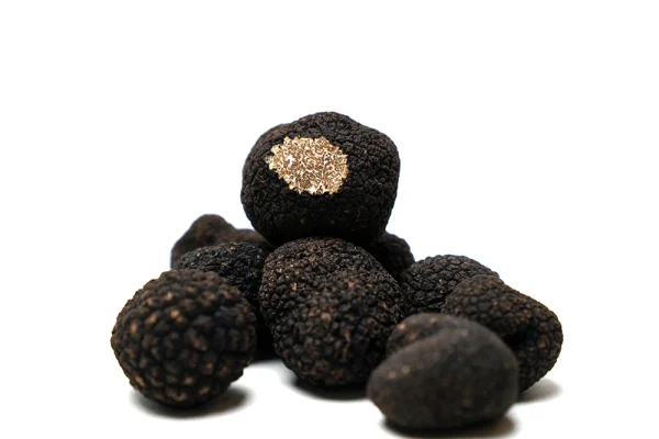 Black Truffle