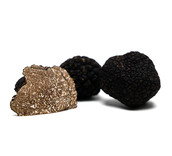 Black Truffle