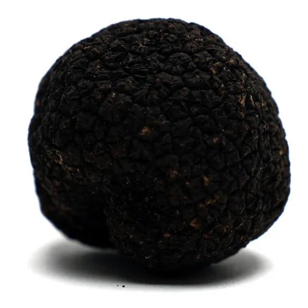 Black Truffle