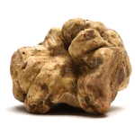 White Truffle