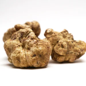 White Truffle