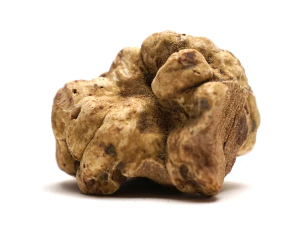White Truffle